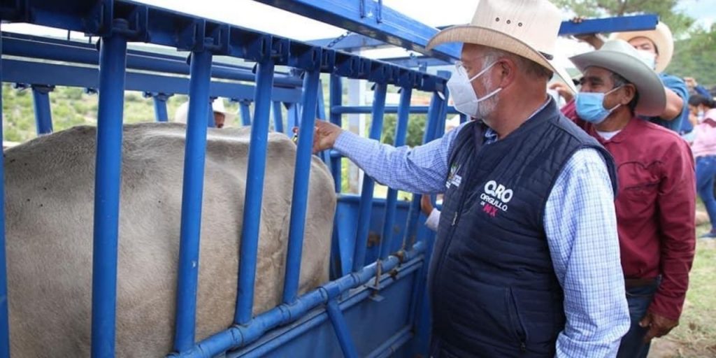 Veterinario en tu Potrero, proyecto que fortalece el ...